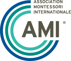 AMI logo